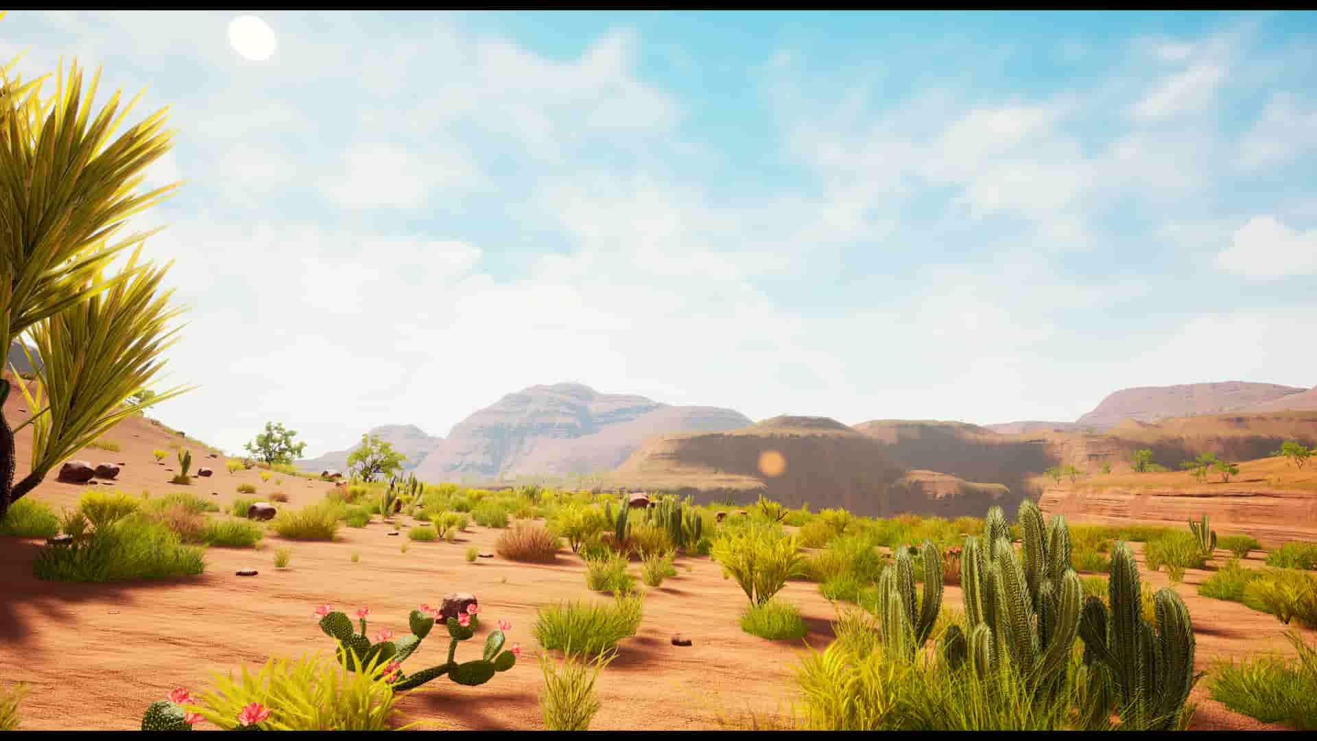 死亡峡谷-“Dead Canyon” Landscape