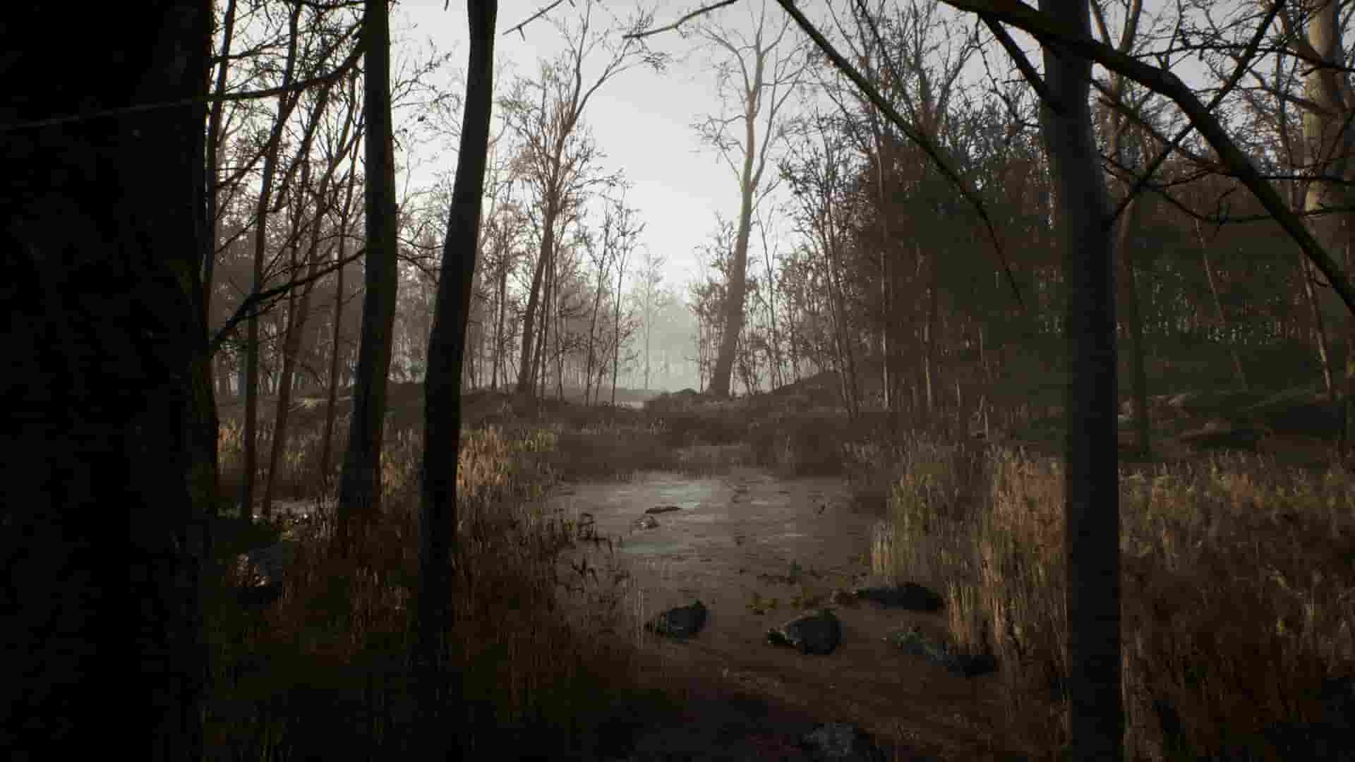 枯木森林-Procedural Forest