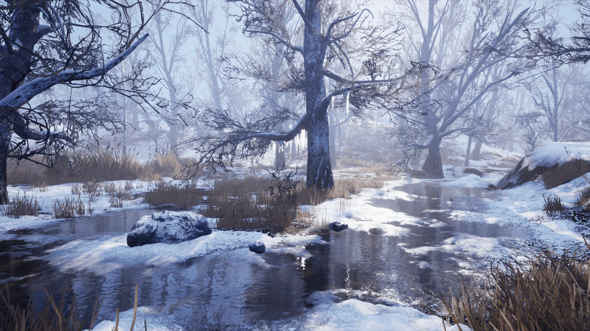 雪景森林-Winter Forest
