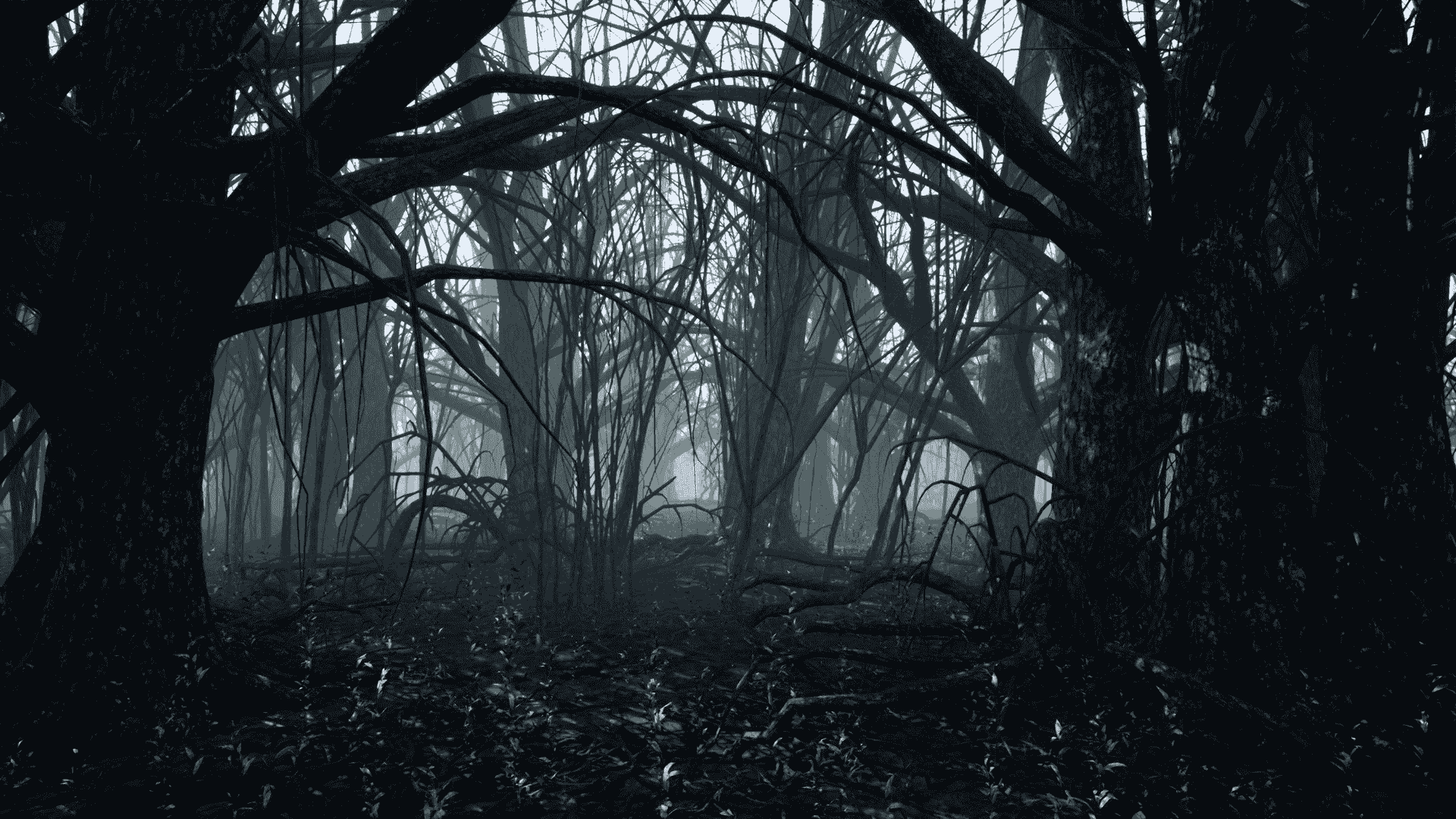 黑暗森林-Dark Forest