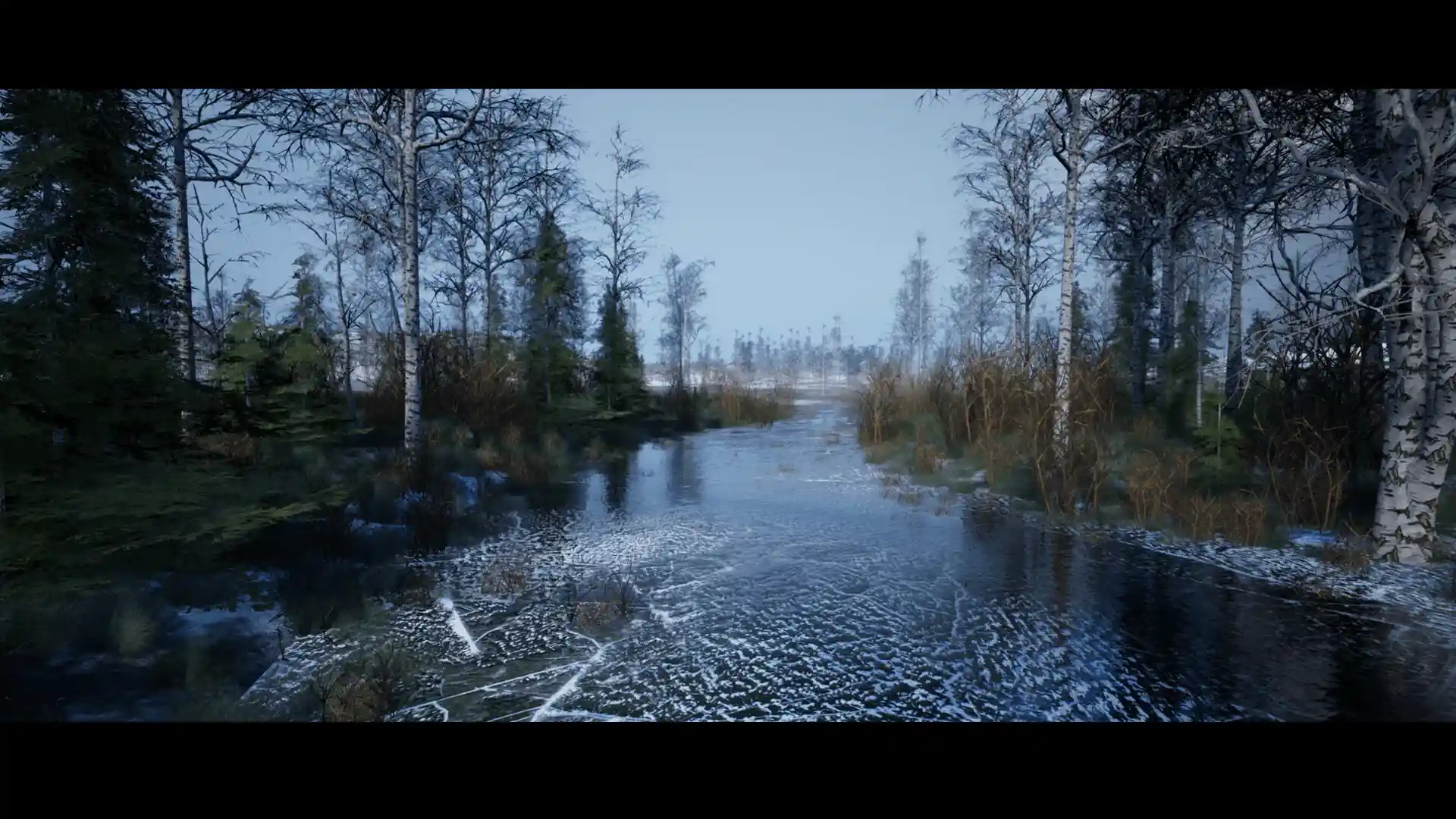北方森林-Northern Forest