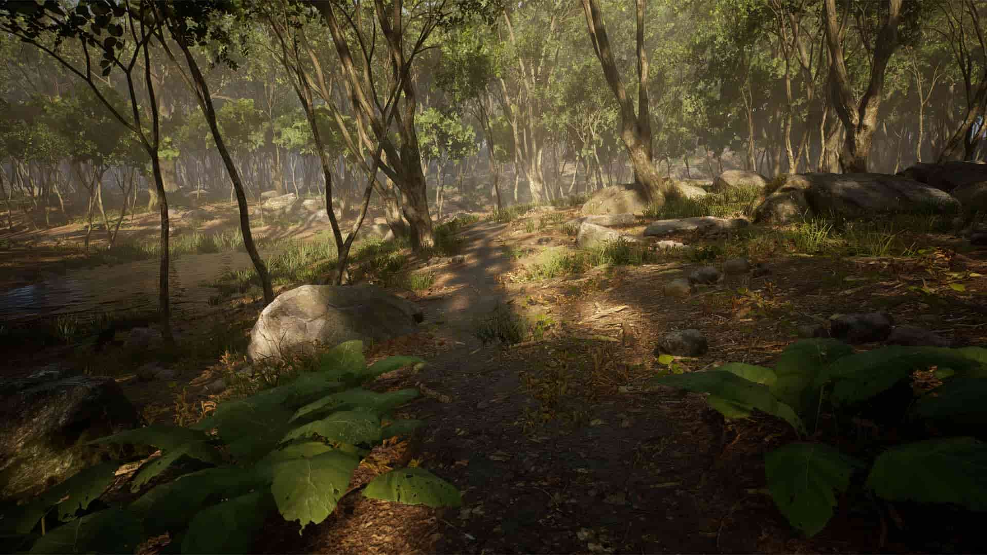 野外树林-Leaf Tree Forest Biome