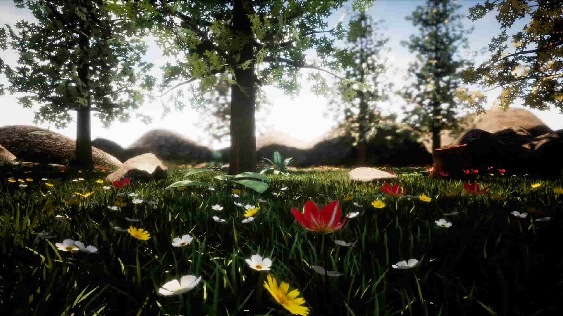 花草树木-Forest pack. Easy landscape with plants and flowers