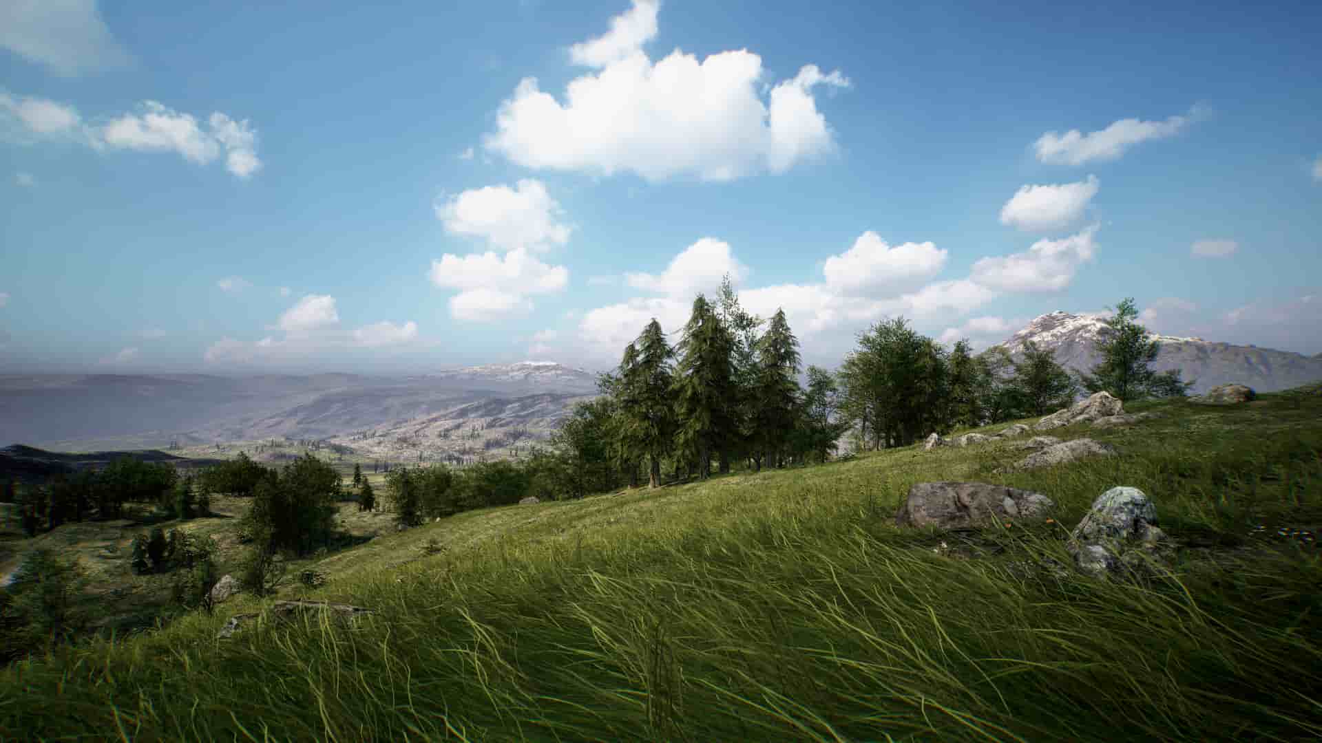 森林草地包 – Brushify – Forest Pack