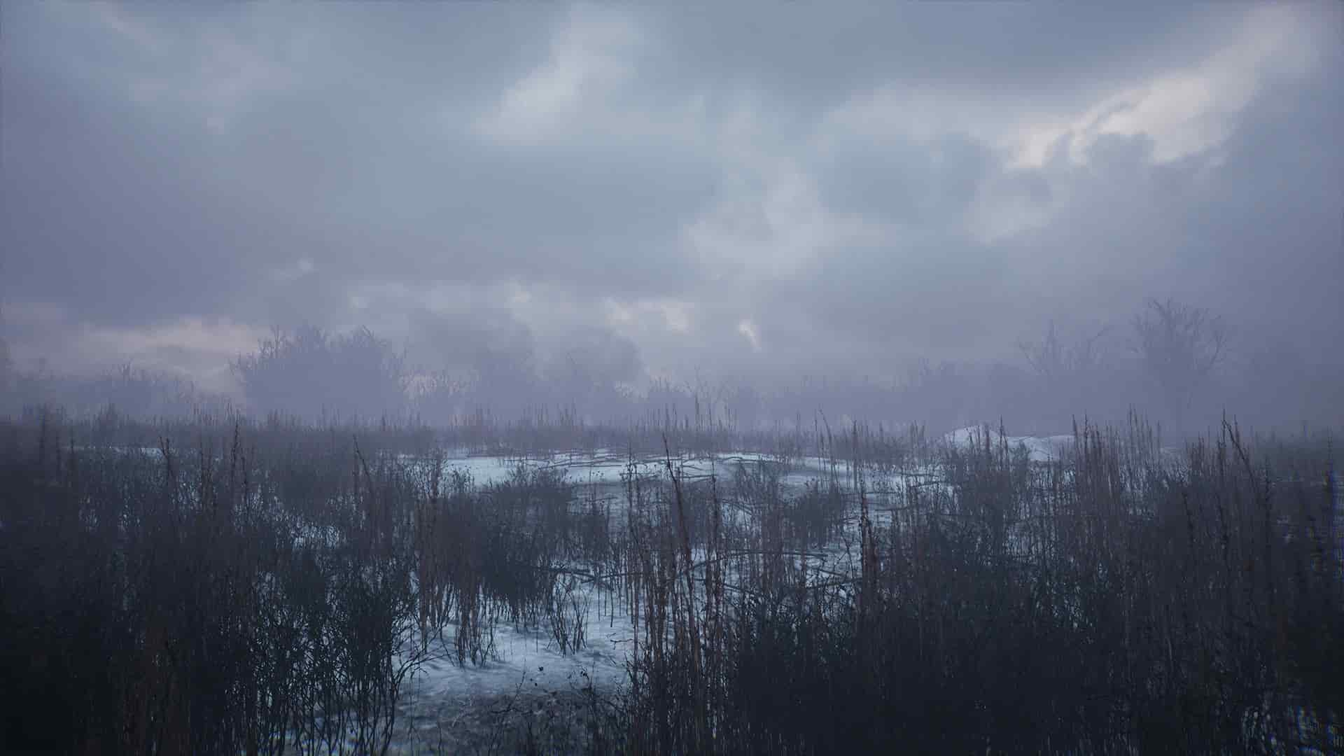寒冷的冬季公园 – Bleak Winter Park
