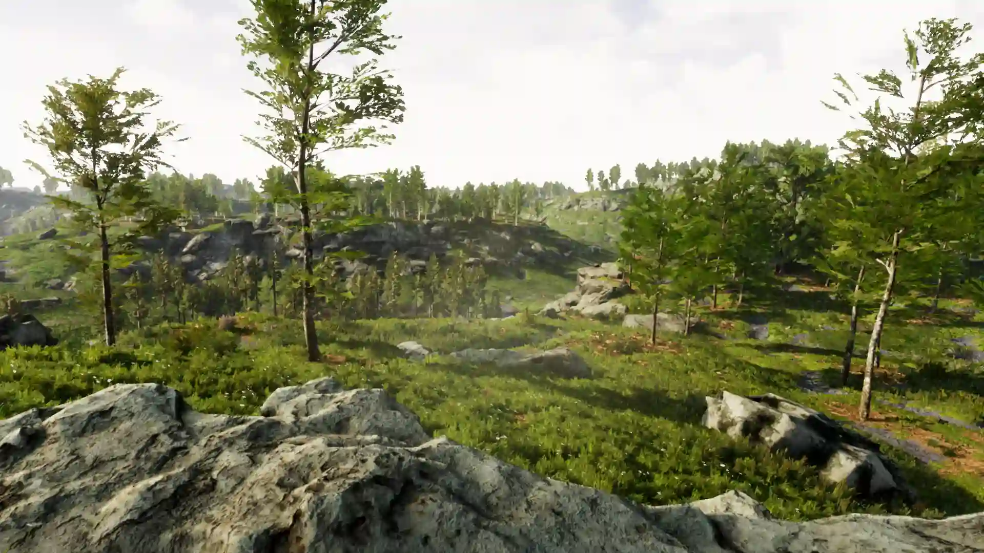 专业景观自然环境创建工具 – Landscape Pro 3 – Automatic Natural Environment Creation Tool