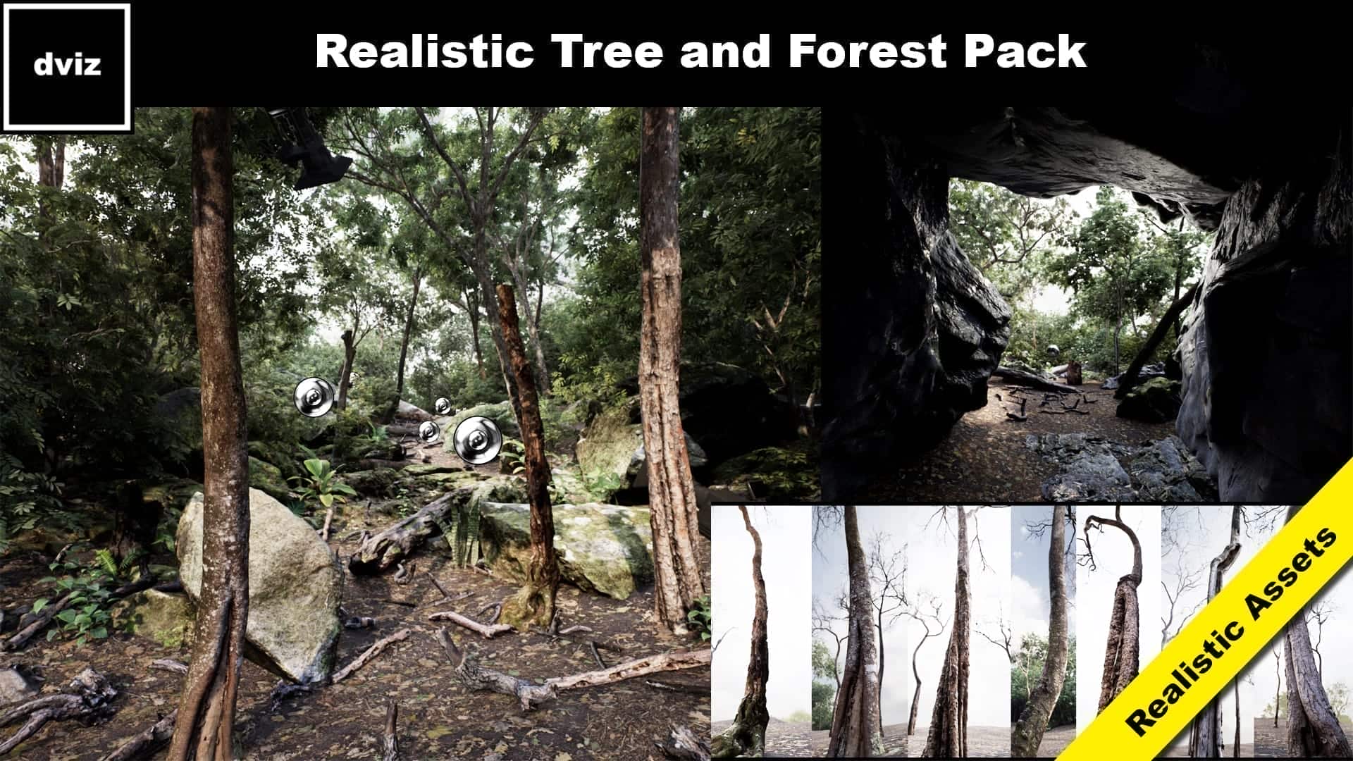森林树木/岩石-Trees: Realistic Forest Plants Pack