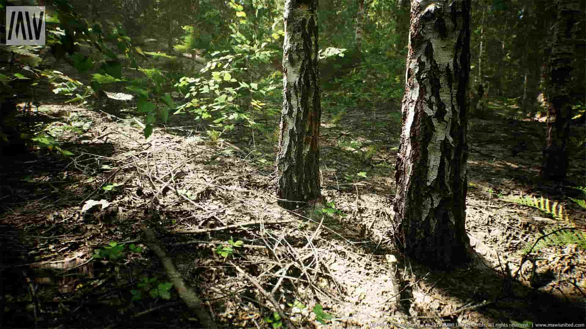 MW桦树森林生物群落-MW Paper Birch Trees Forest Biome