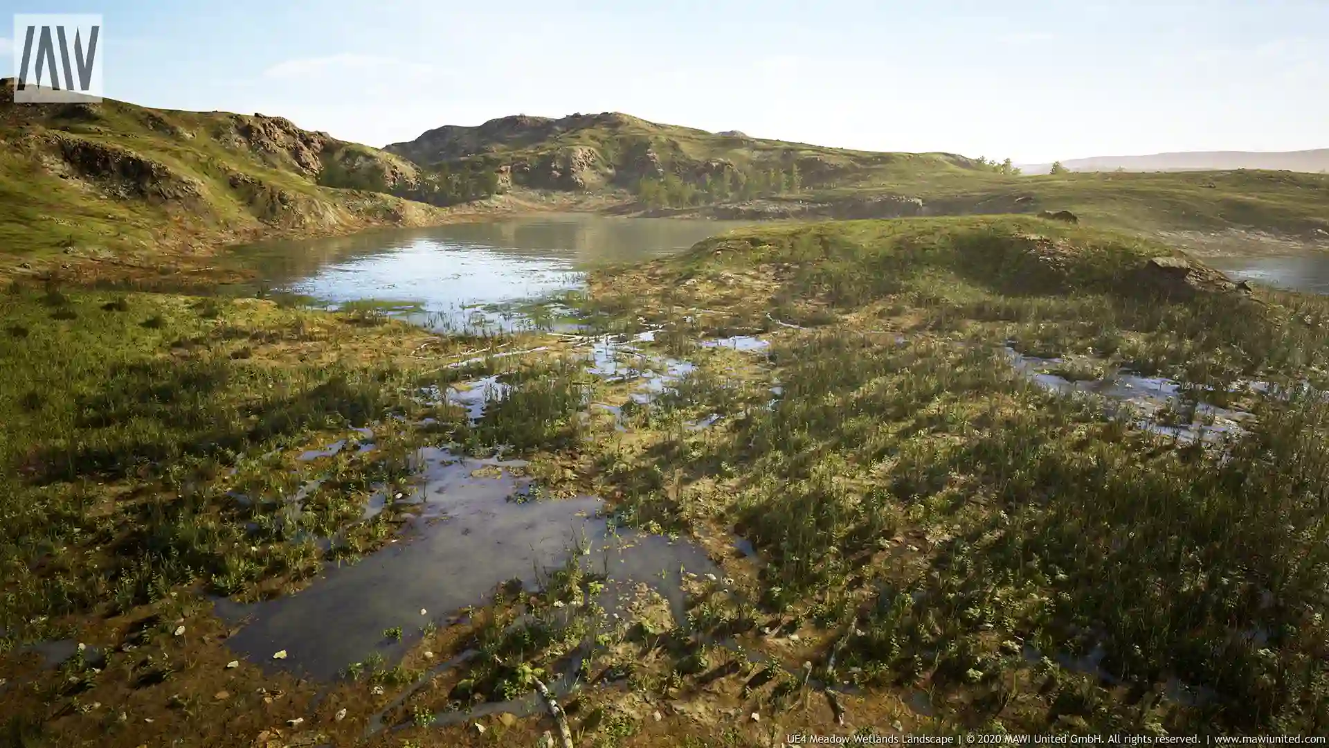 沼泽湿地-MW Meadow Wetlands Landscape