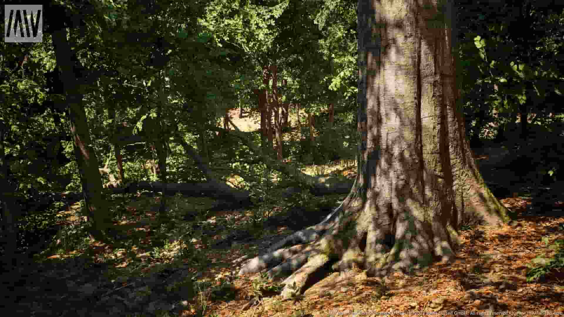 MW阔叶林生物群系-MW Broadleaf Tree Forest Biome v4.0.7