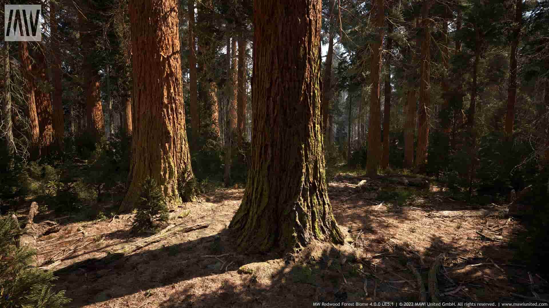红木森林-MW Redwood Tree Forest Biome 4.1.0