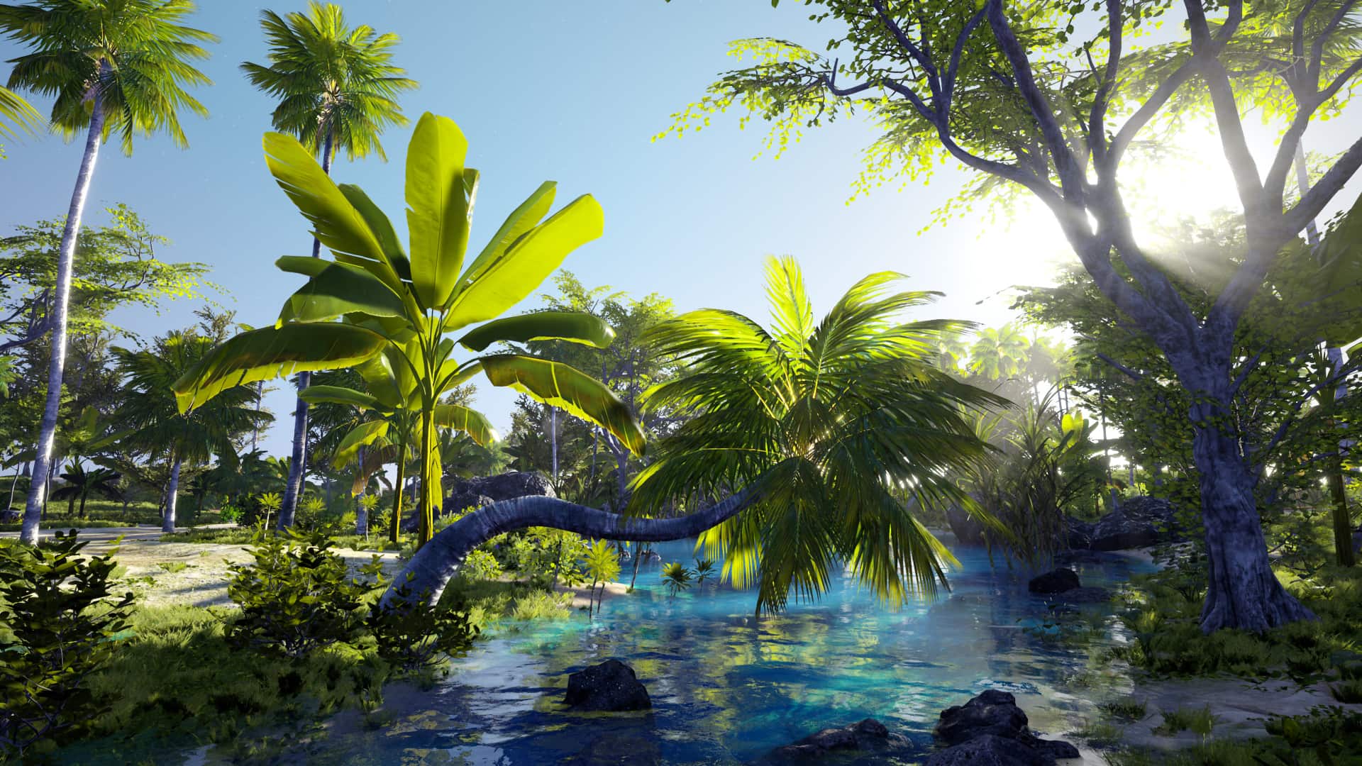 毛里求斯海岸-3D-Scanned, Photo-Realistic Mauritius Asset Pack