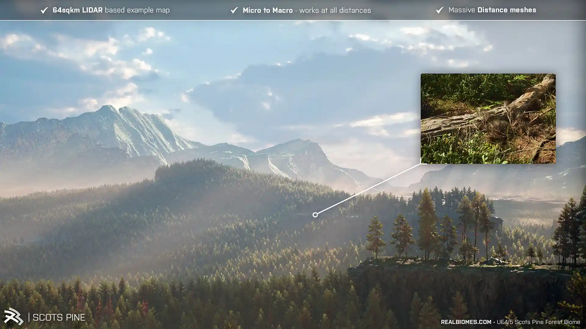 苏格兰松林生物群落 – RB – RealBiomes Scots Pine Forest Biome – Trees, Landscape, Pine Forest, Grass