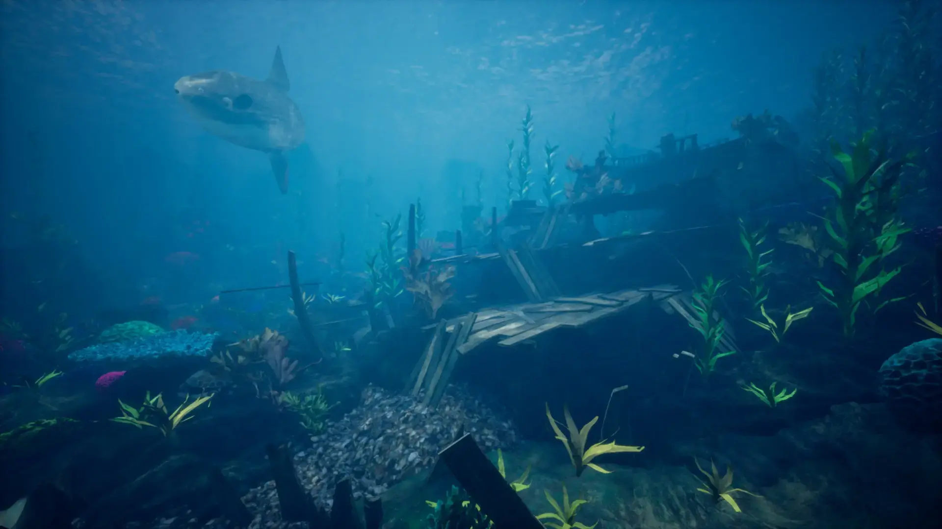 海洋环境珊瑚礁 – Ocean Environment Pack 2 – Coral Reef