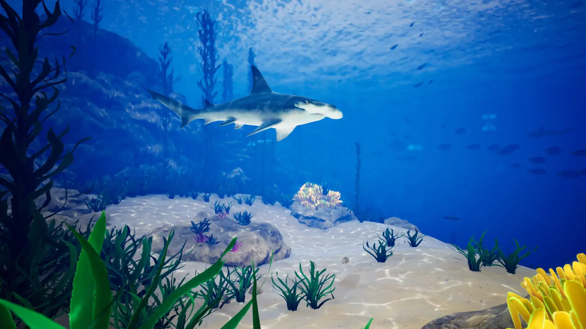 海洋生物环境-Ocean Environment Pack