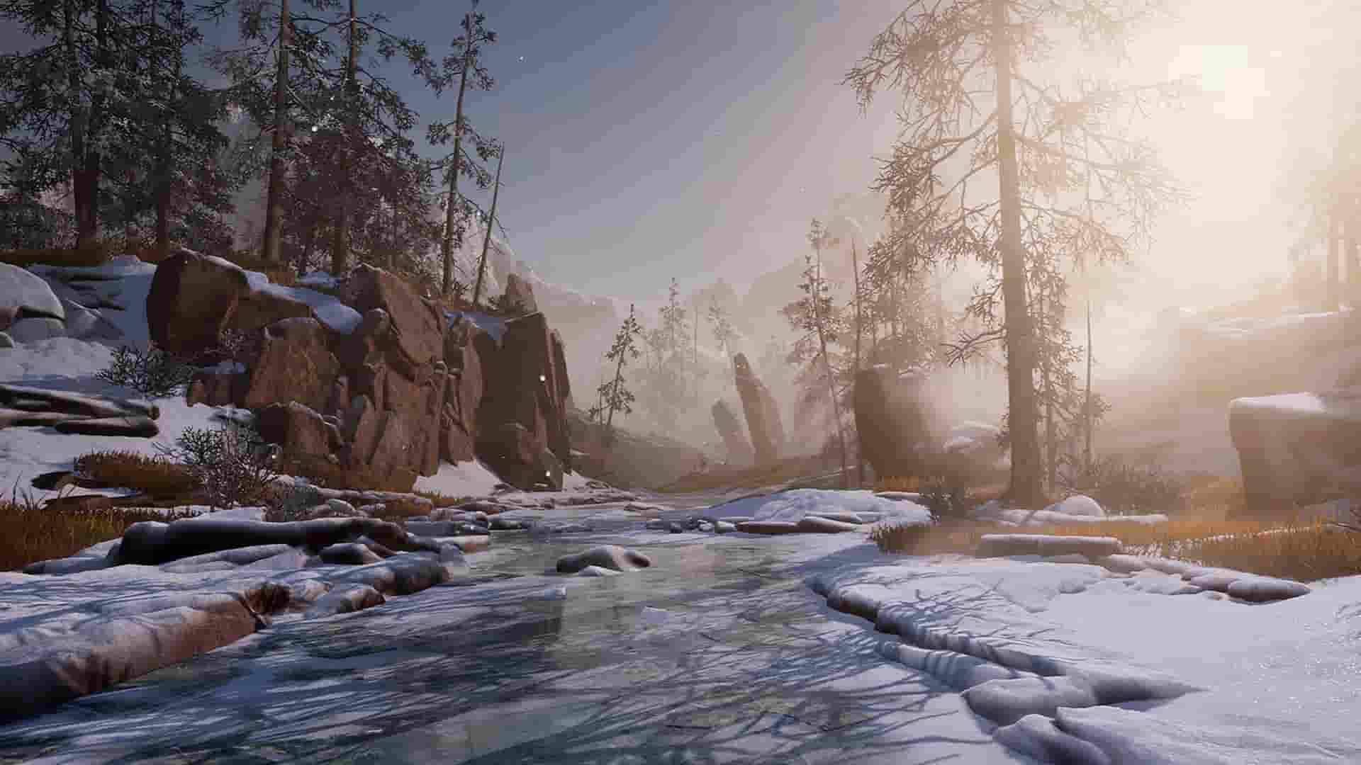 雪景山谷-Snow Forest