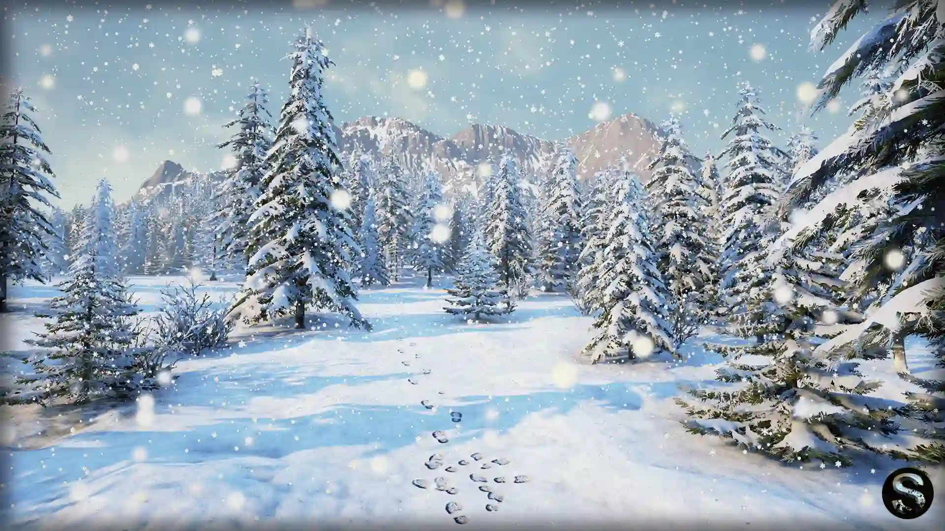 冬季森林-Winter Nature
