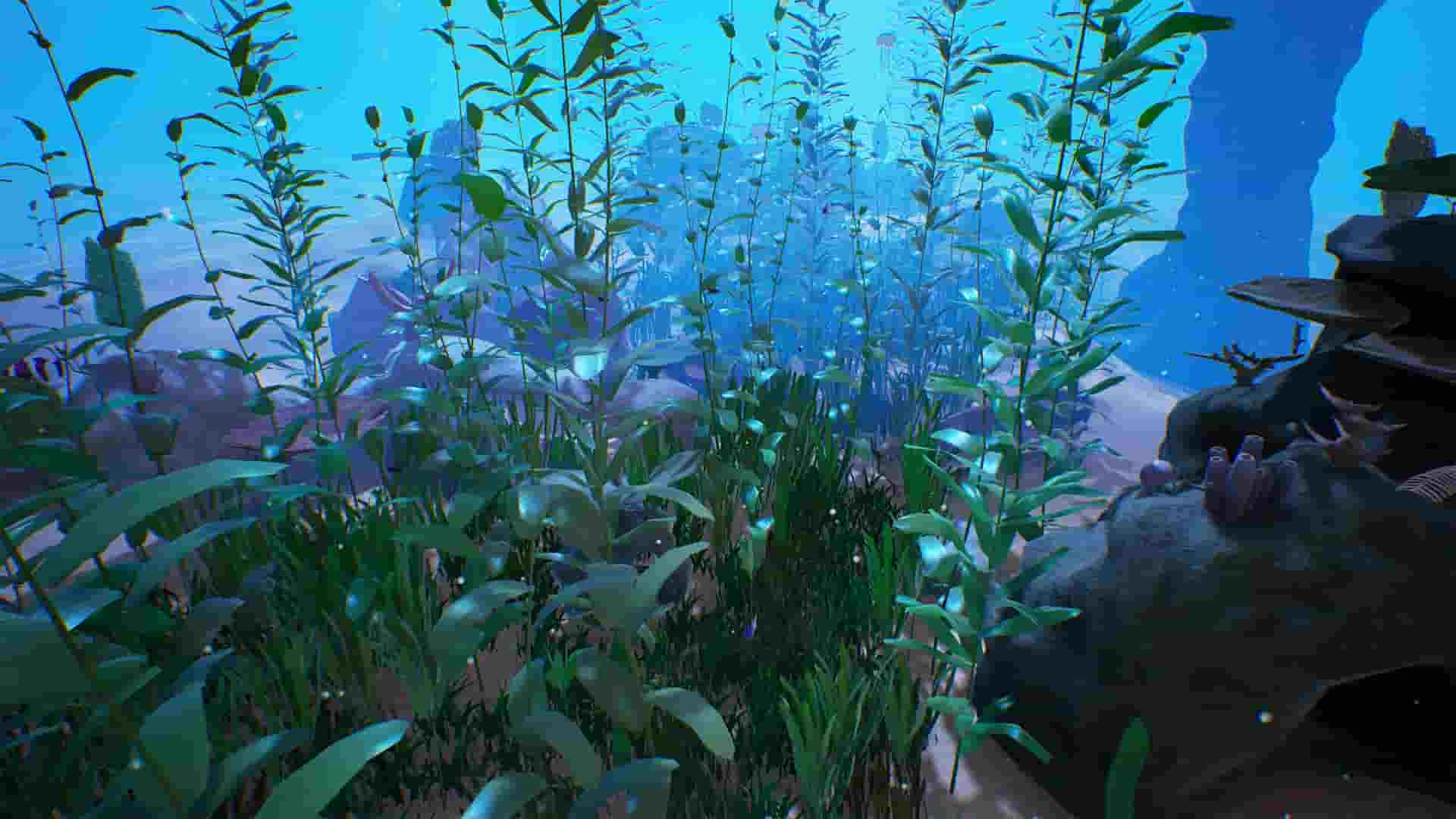 海底珊瑚礁-Reef Kit
