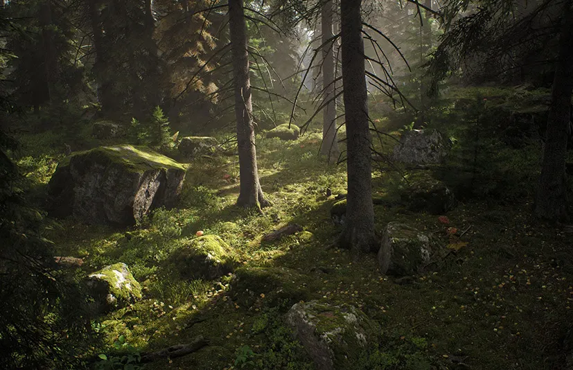 北欧针叶林生物群落 – Nordic Conifer Biome