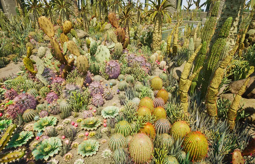 沙漠仙人掌植物 – Cactus Plants: Desert Garden