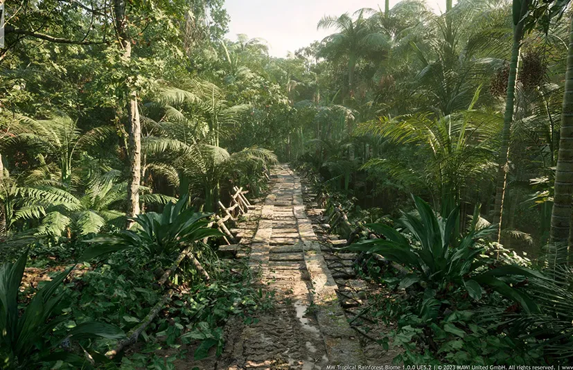 热带雨林树木生物群落 – MW Tropical Rainforest Trees Biome