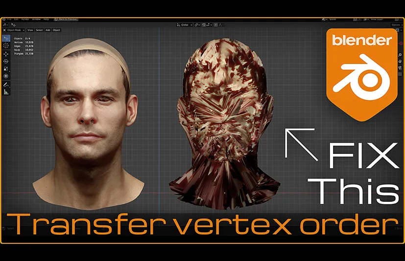 Blender转移顶点顺序插件 – Transfer Vertex Order v2.3