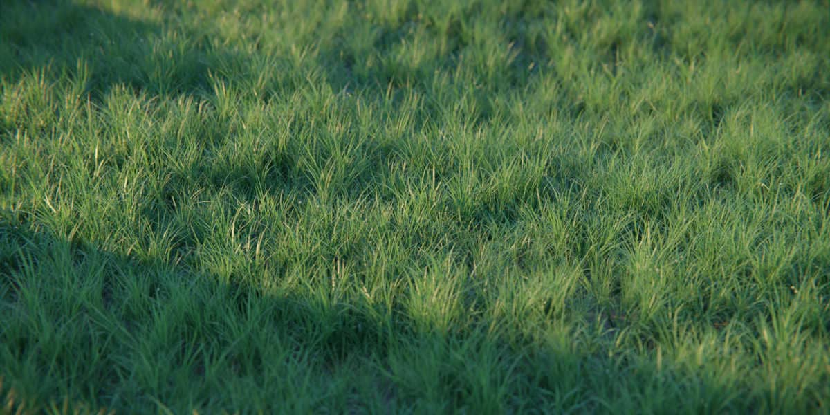 Blender真实草地 Real Grass v1.0