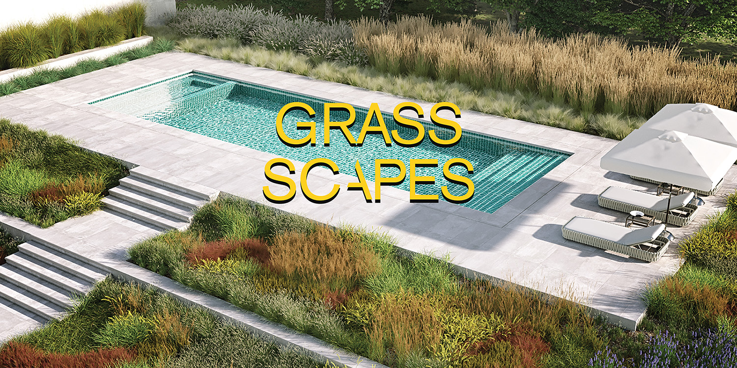 【花草】带有风吹动画的植物资产包-TerraScape – Grass Scapes For Blender