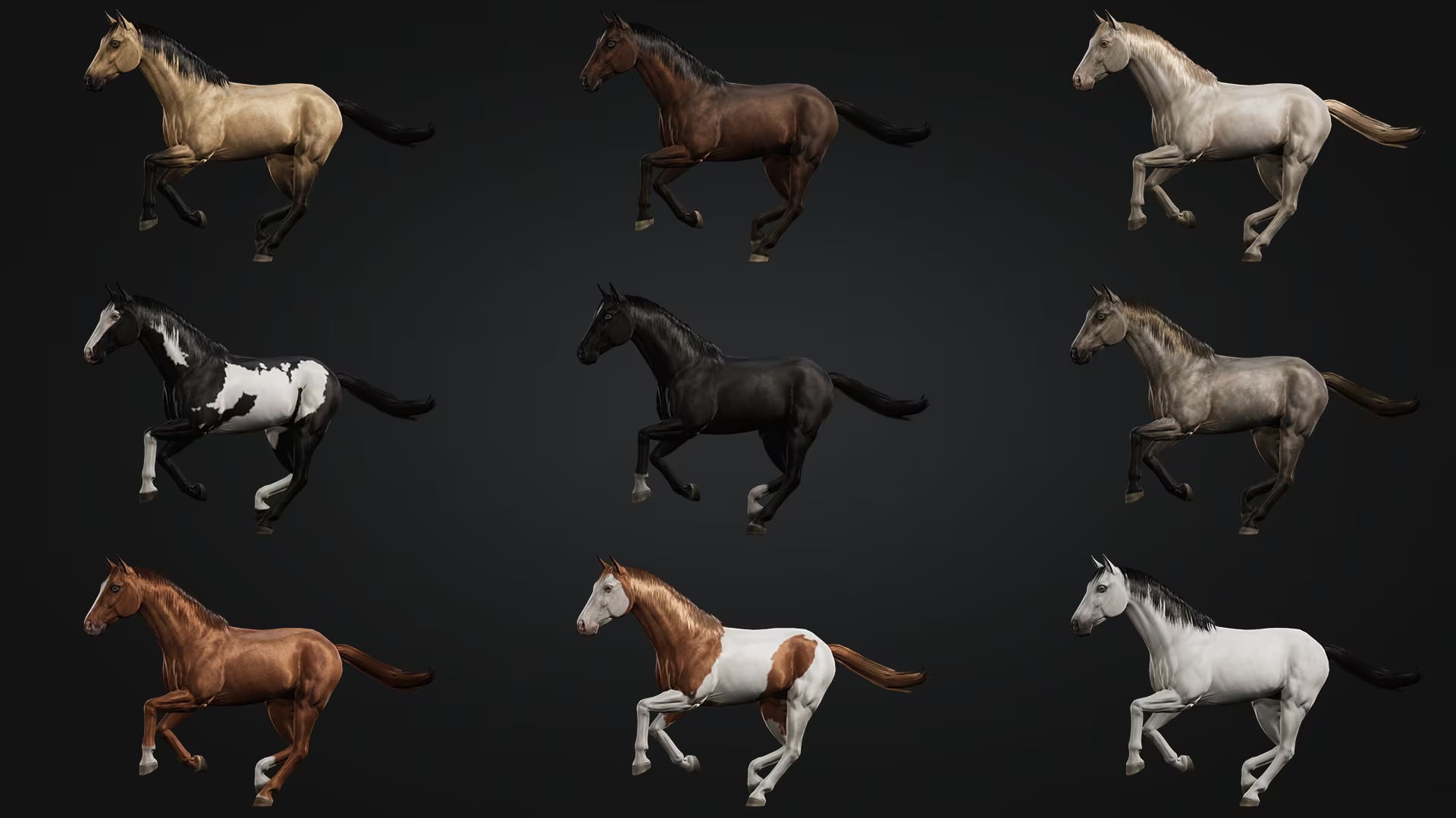 马群-Horse Herd