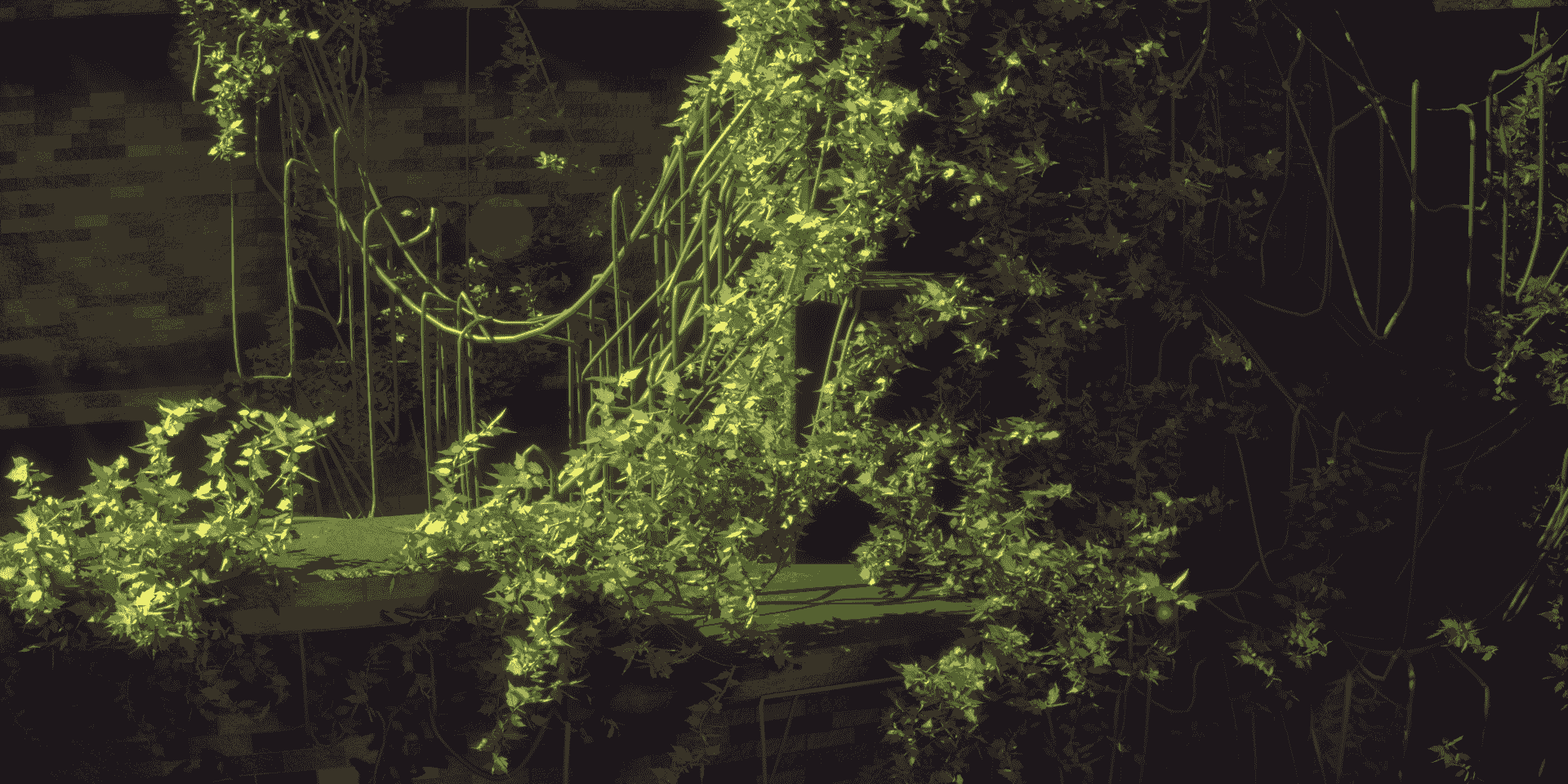 Blender植物插件动态藤蔓生长动画预设 – Vine Generator