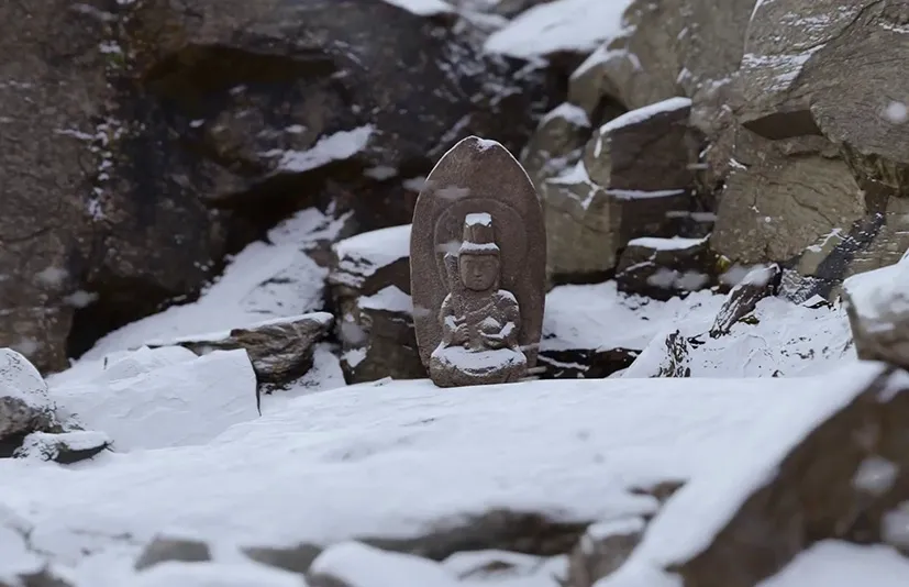 Blender下雪覆盖效果插件 – Quick Snow v4.0