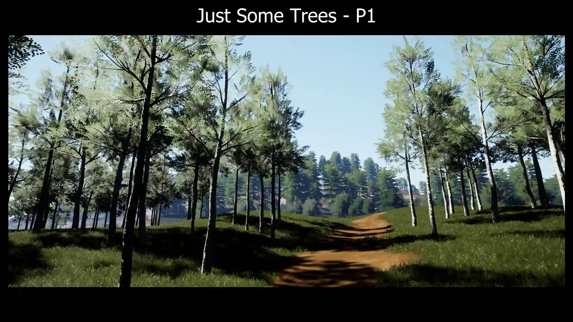 21棵独特树木 – Just Some Trees – P1