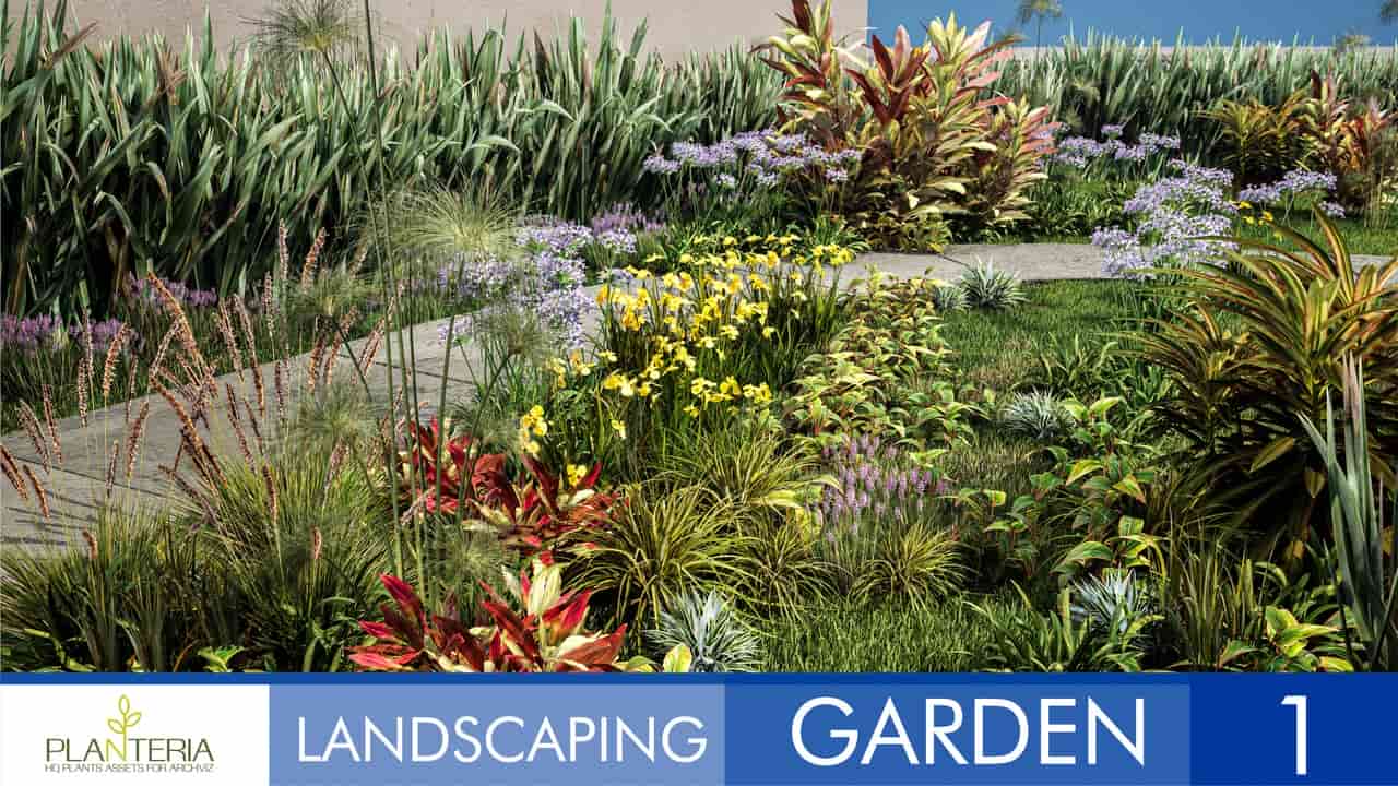 景观花园 1 – Landscaping Garden 1
