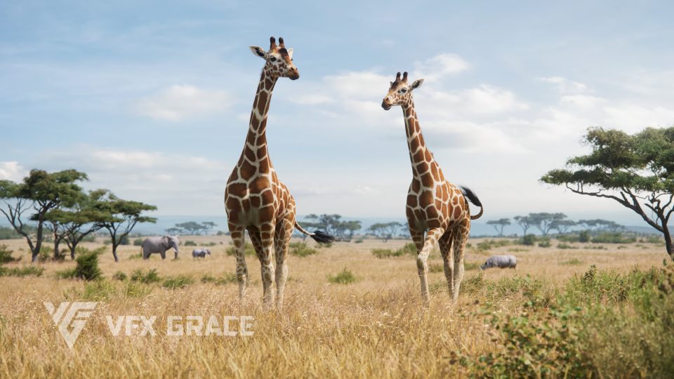 动画长颈鹿模型 – Giraffe Animated  VFX Grace