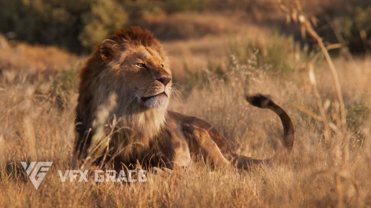 狮子动画 | VFX Grace – Lion Animation | VFX Grace