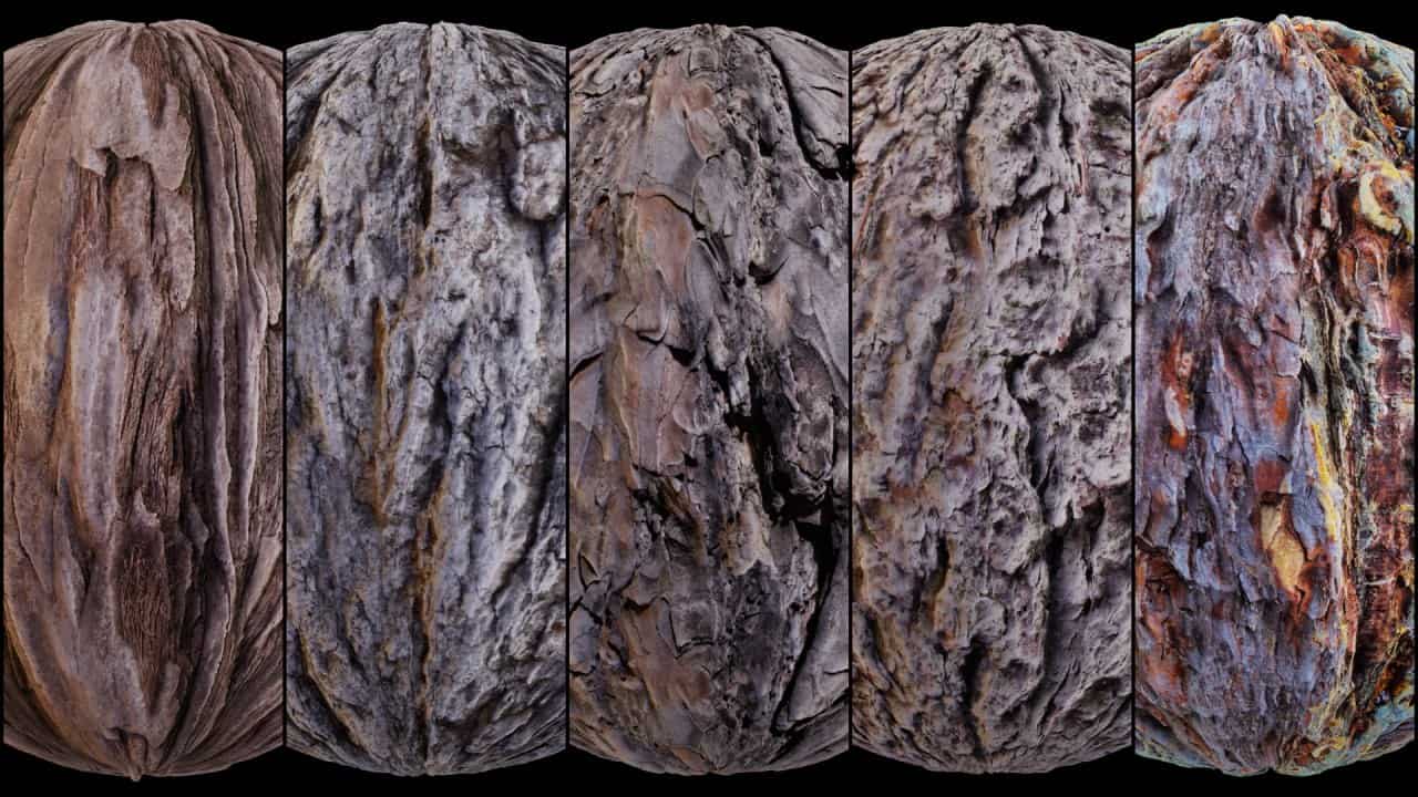 100款树皮材质包 – 100 Bark Texture