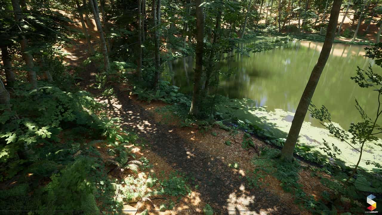 山毛榉森林生态系统 – Beech Forest Ecosystem