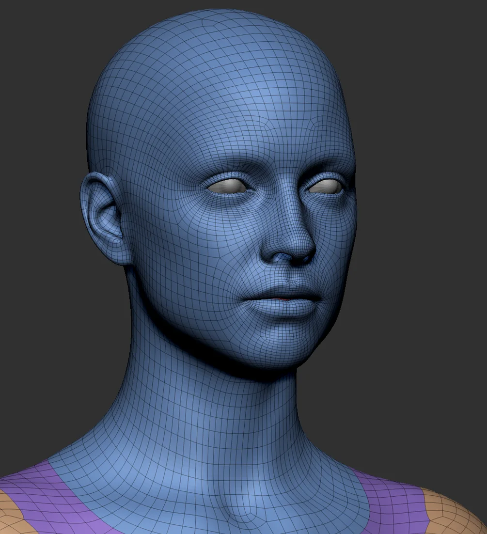 专业男女基础模型45K – Pro Male and Female Basemesh 45K