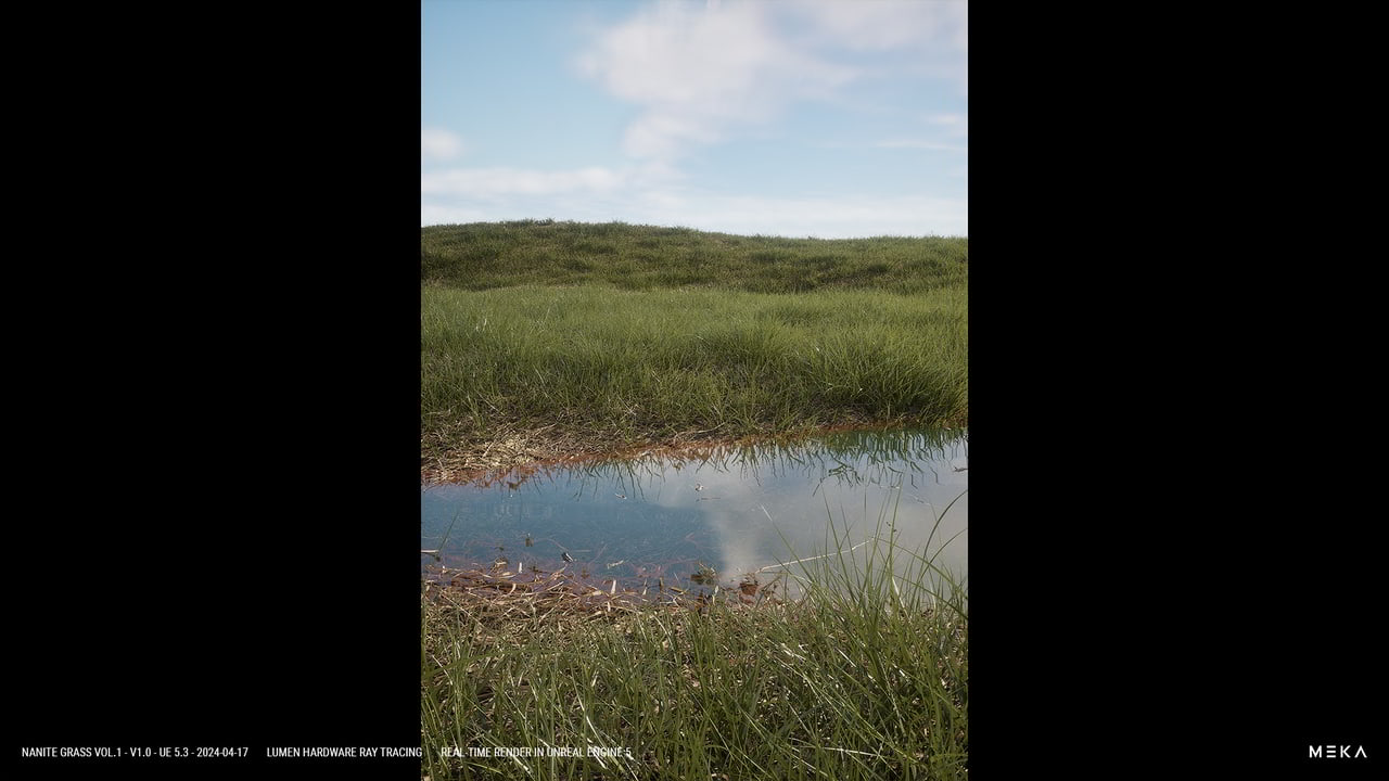 Nanite草地Vol.1 – Nanite Grass Vol.1