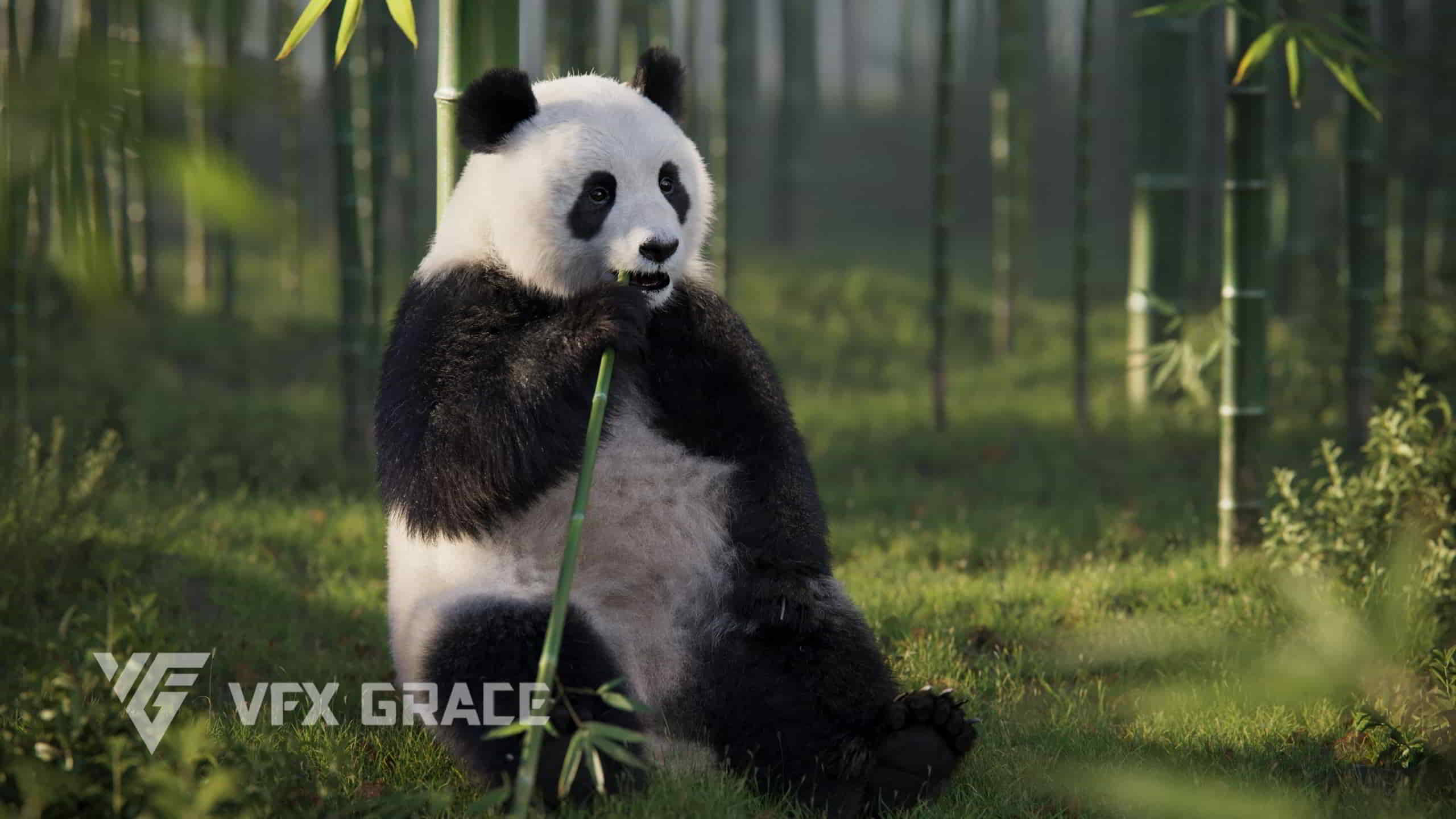 Blender高质量熊猫绑定动画3D模型 – Panda Animation Model