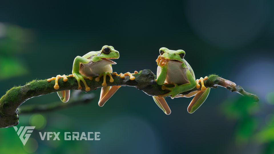 Blender树蛙高精度绑定动画3D模型 – Tree Frog Animated Model