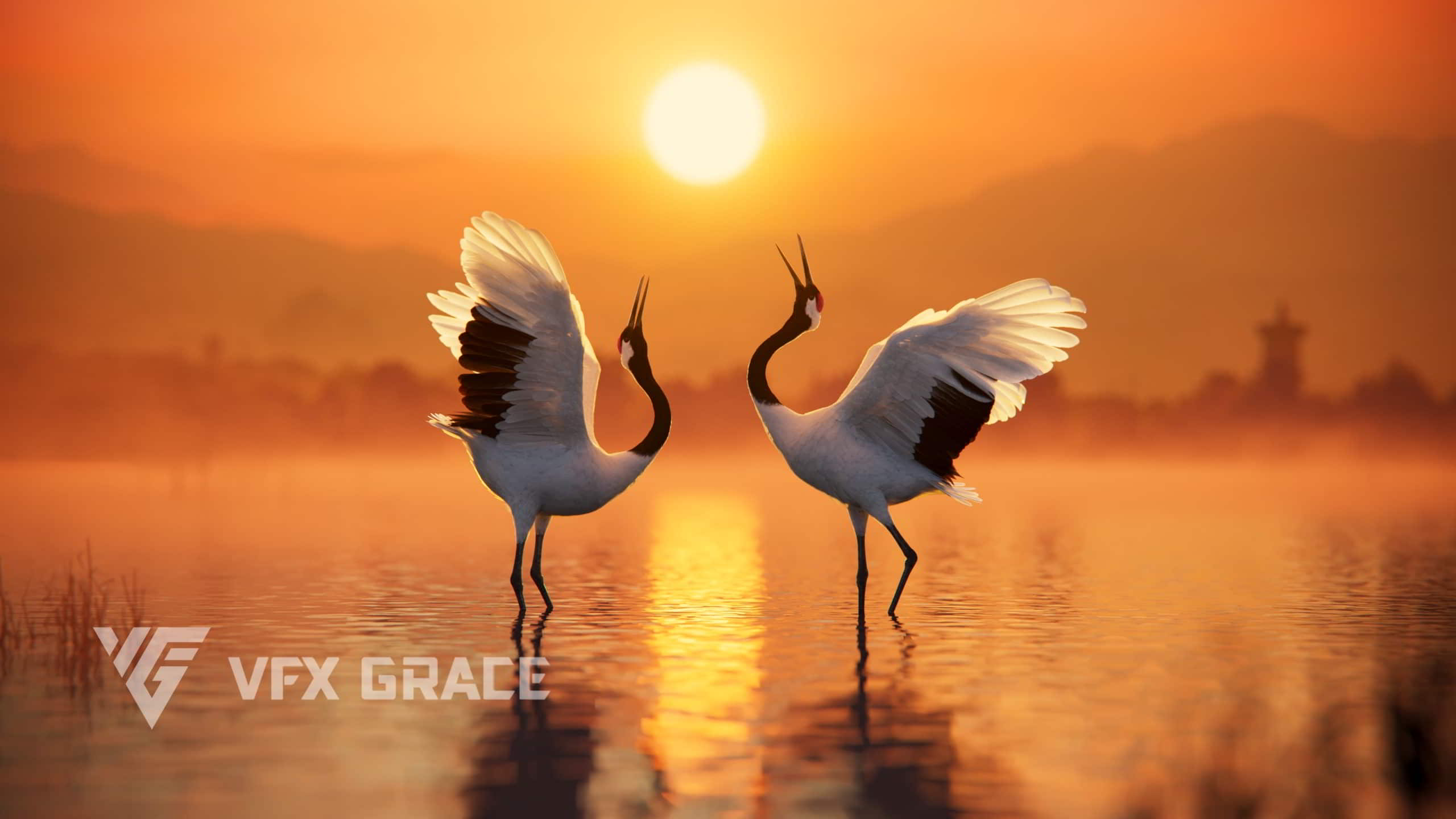 红冠鹤动画 | VFX Grace – Red-Crowned Crane Animation | VFX Grace