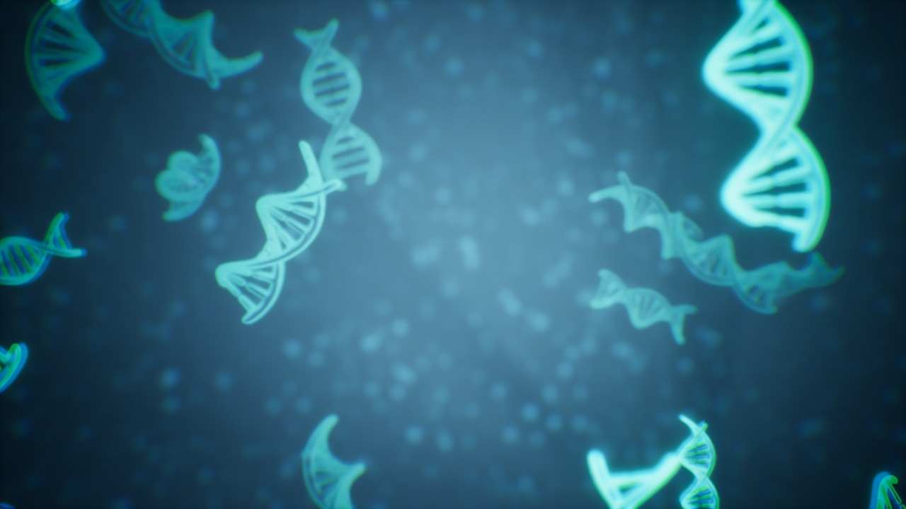 显微生物 – Microscopic Organisms