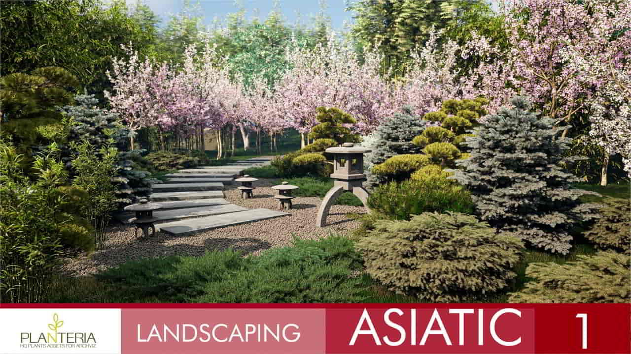 亚洲景观植被包第一辑 – Landscaping Asiatic 1