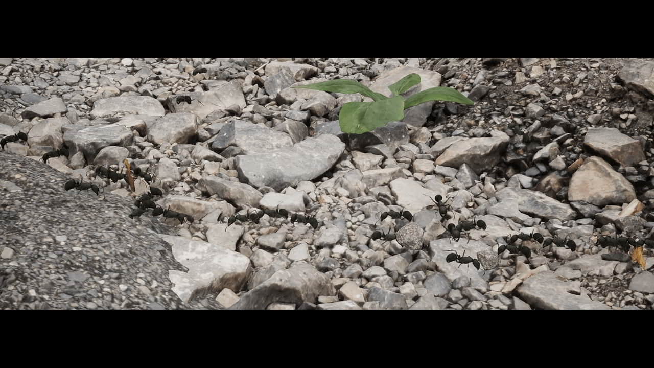 蚂蚁行为模拟系统 – Ants
