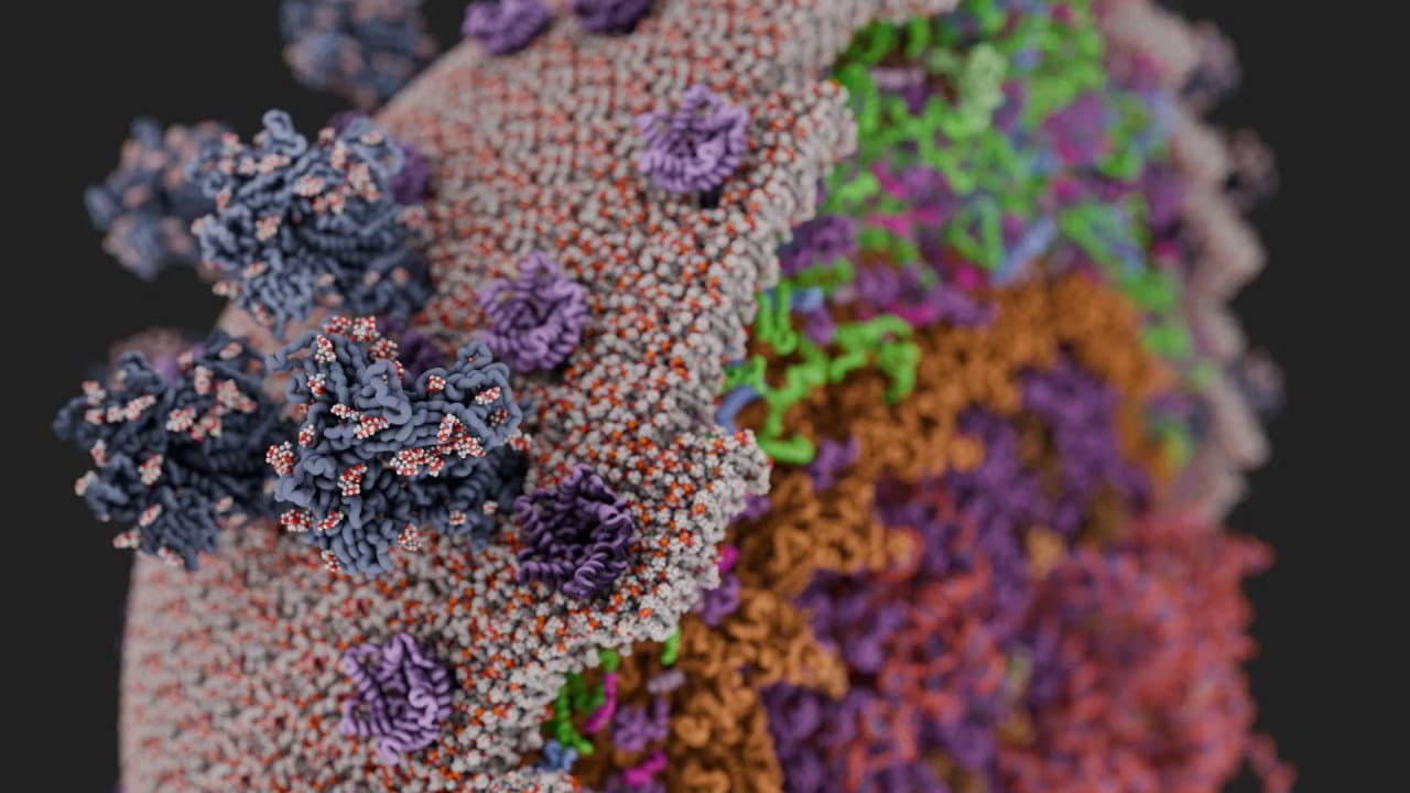 blender分子可视化插件 – Molecular Nodes v4.2.12