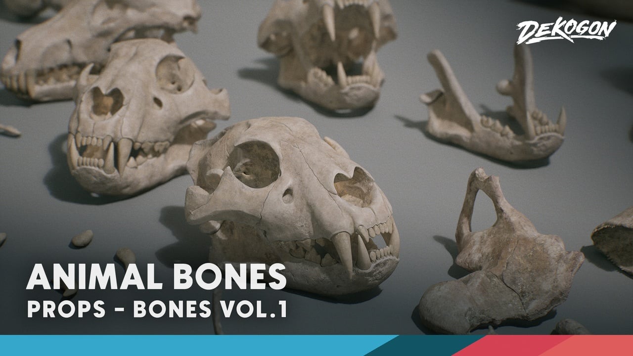 骨骼资源包 VOL.1 – 动物骨骼 1（Nanite + 低多边形） – Bones VOL.1 – Animal Bones 1 (Nanite + Low Poly)