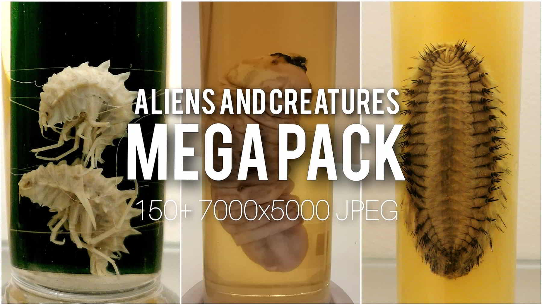 外星与生物参考素材合集 – Aliens and Creatures References MEGAPACK