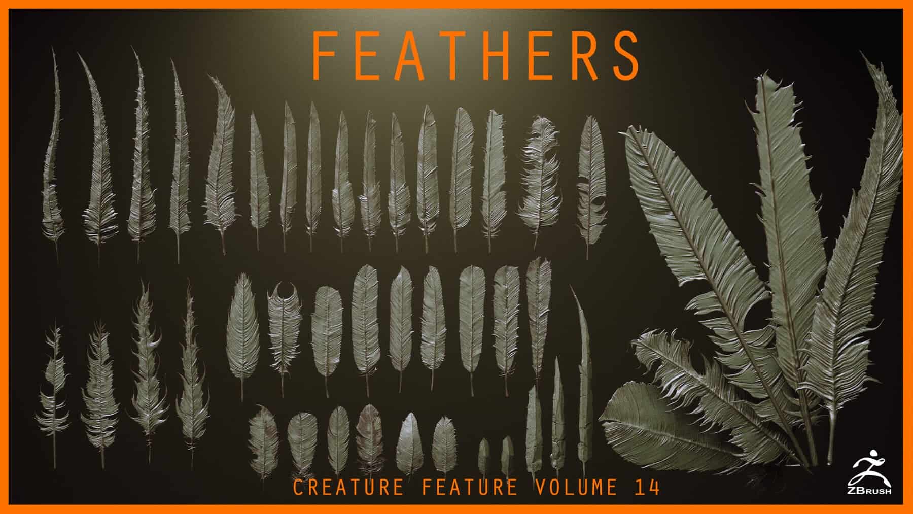 40款高精度羽毛模型与IMM笔刷套装 – FEATHERS