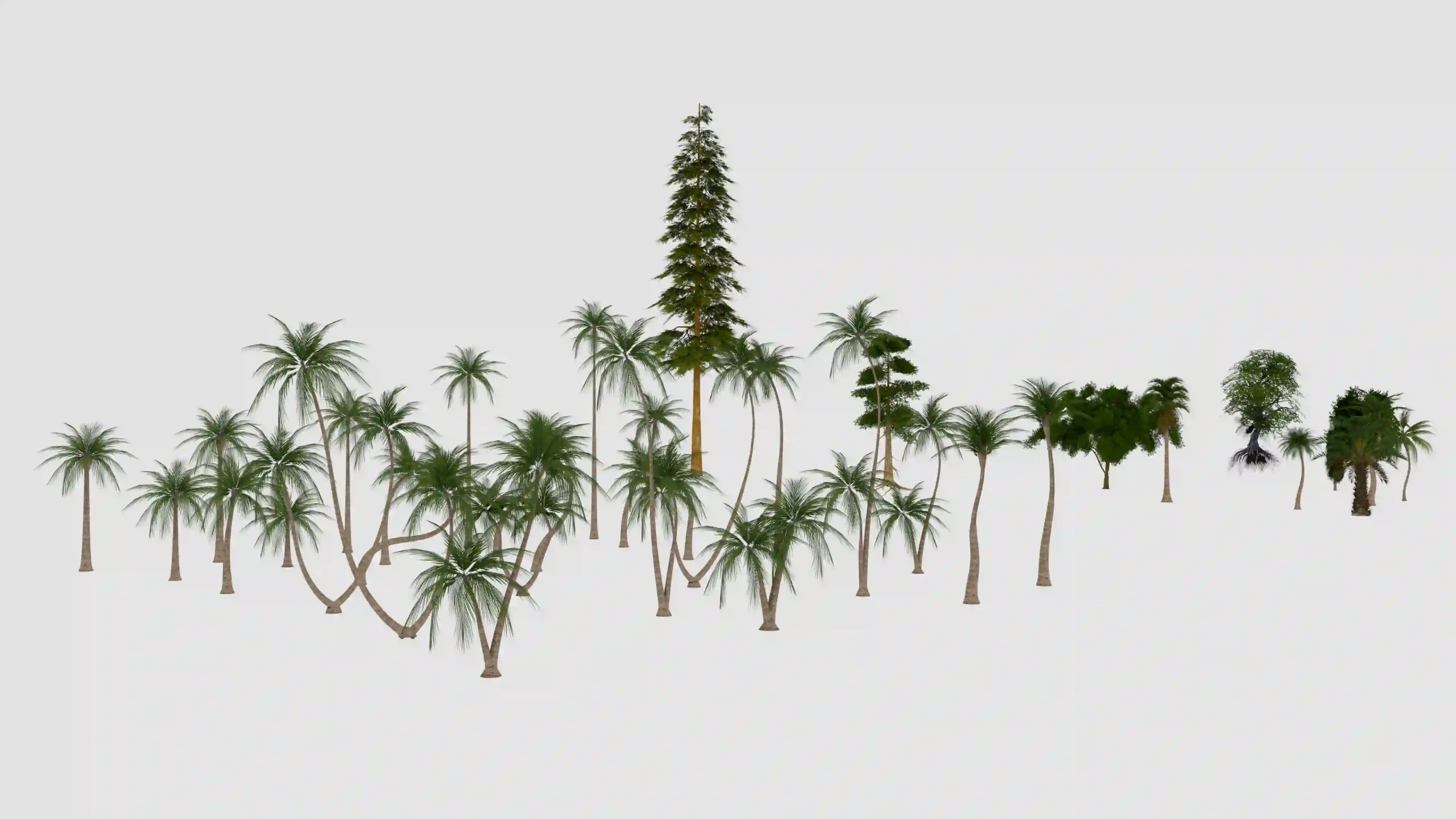 春季树木合集 – Next Spring Tree collection